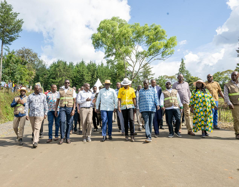 1761725392521.png 鲁托总统剪彩81km.png